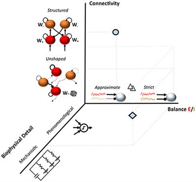 Cortical Variability and Challenges for Modeling Approaches